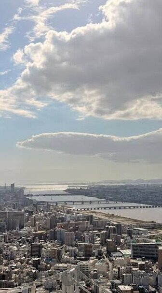 大象传媒短视频下载-探索大象传媒短视频下载的多元维度