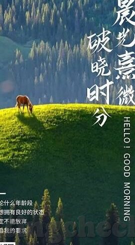 国产剧情av麻豆香蕉精品-国产剧情的魅力演绎，在光影交错中领略麻豆香蕉的精髓