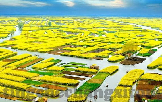 果冻传媒视频在线播放免费观看-探索果冻传媒视频，免费在线播放的乐趣与选择