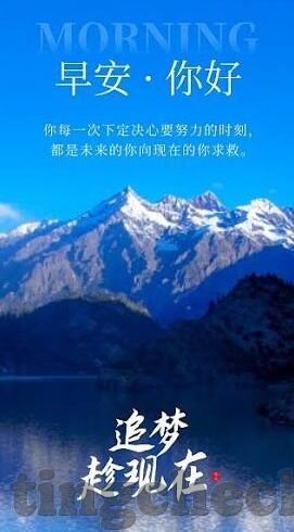 糖心app真人直播-探索多元直播的魅力，糖心APP真人直播的独特体验