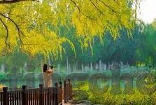 糖心vlog成人兑换码-品味生活，成人世界的甜蜜时光——探索糖心Vlog的独特魅力的背后