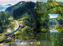 糖心vlog 京东-糖心Vlog，京东生活与服务的记录者